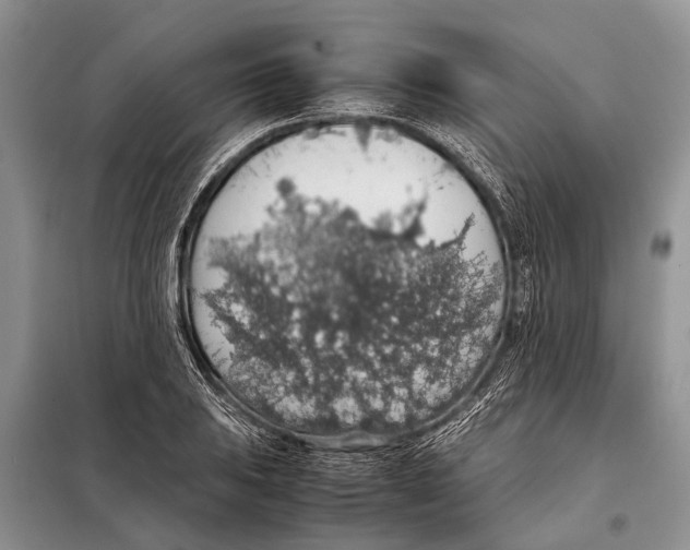 X0000097881031200804110945