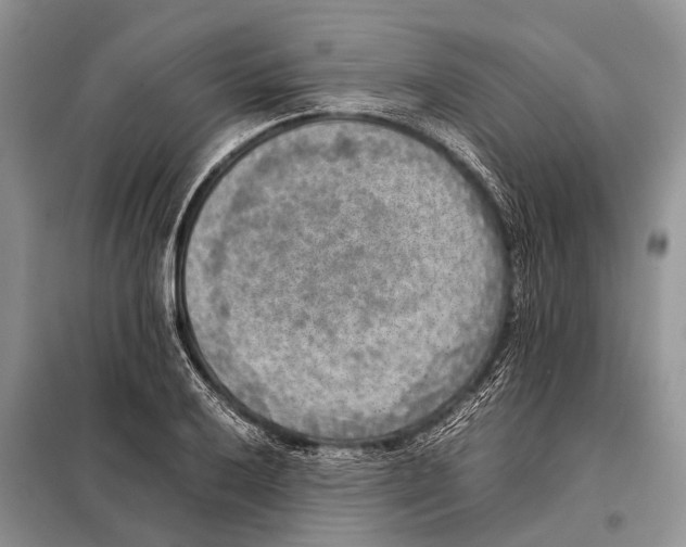 X0000097881032200804110945