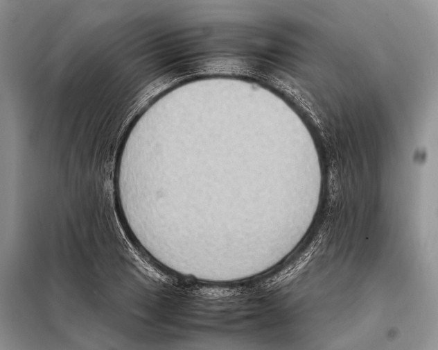 X0000097881033200804110945