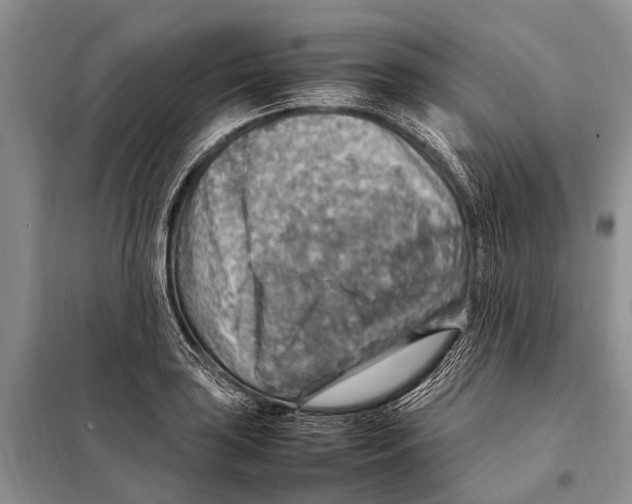 X0000097881035200804110945