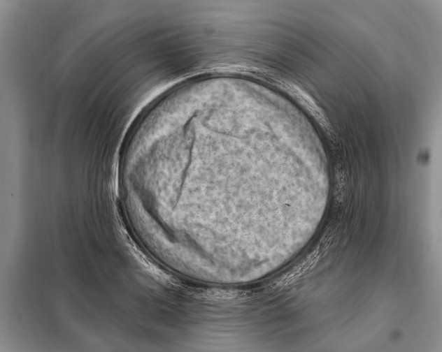 X0000097881036200804110945