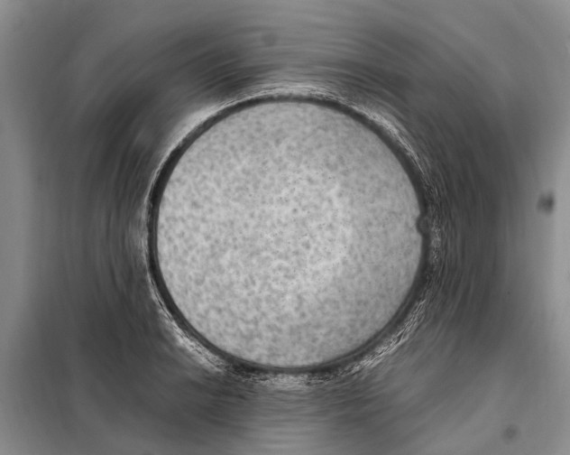 X0000097881038200804110945