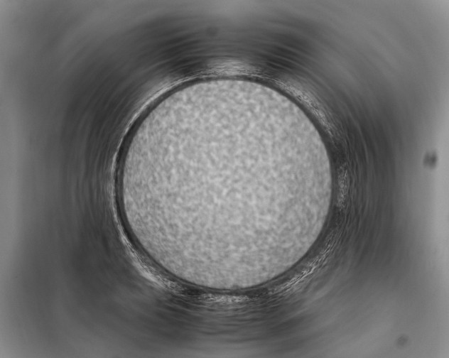 X0000097881039200804110945