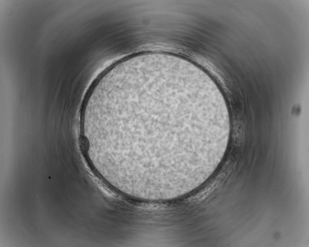 X0000097881040200804110945