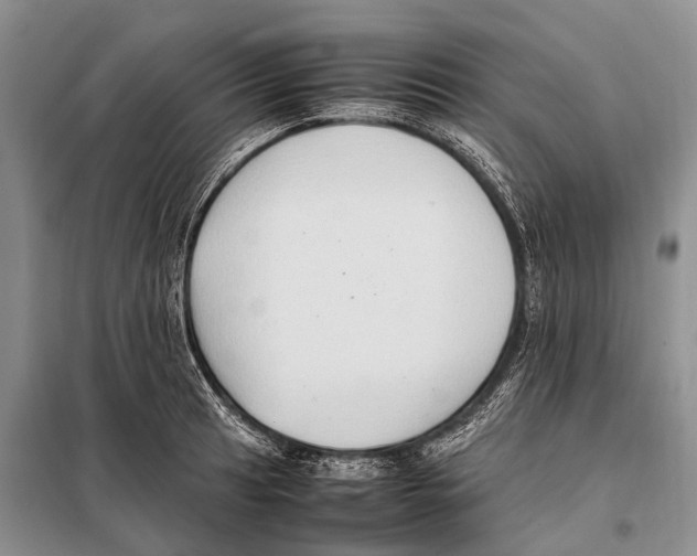 X0000097881041200804110945