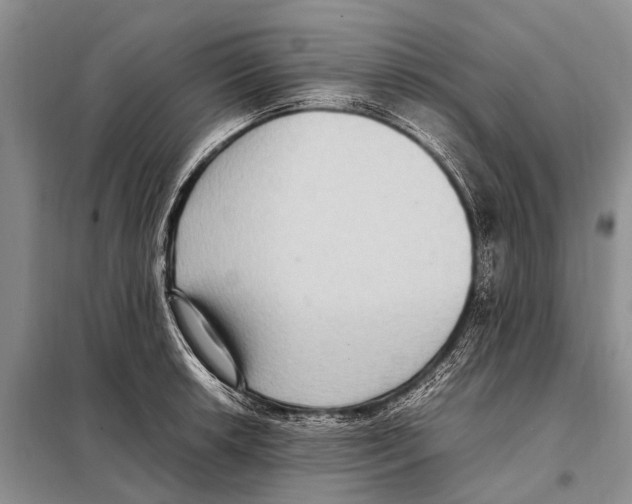 X0000097881042200804110945