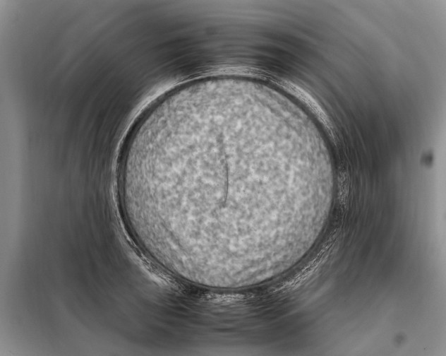 X0000097881043200804110945