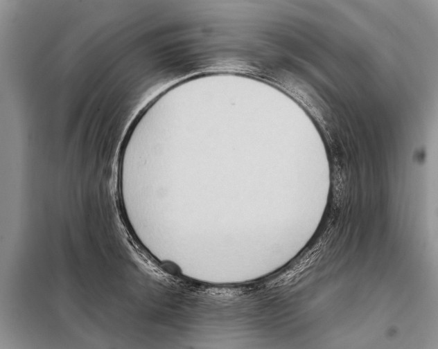 X0000097881044200804110945