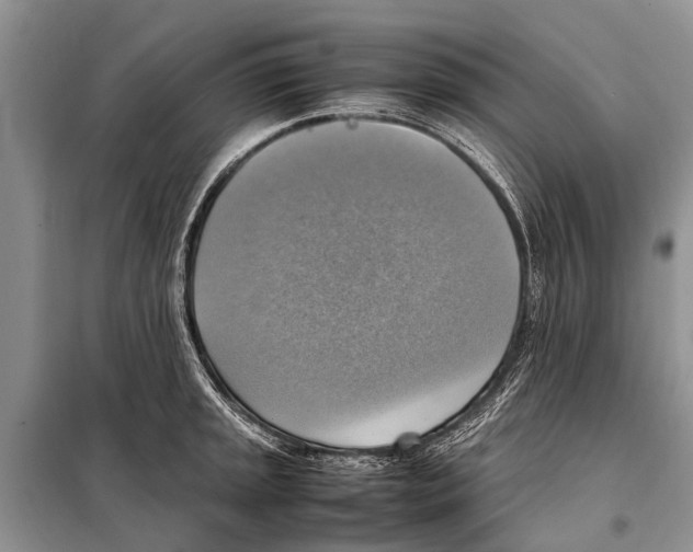 X0000097881045200804110945