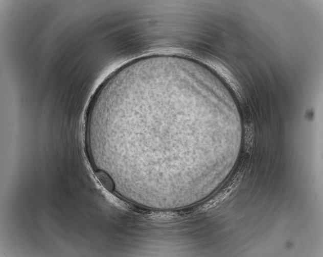 X0000097881046200804110945