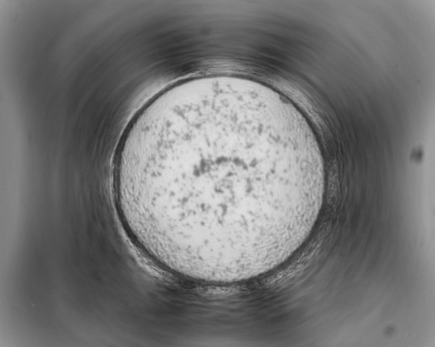 X0000097881047200804110945