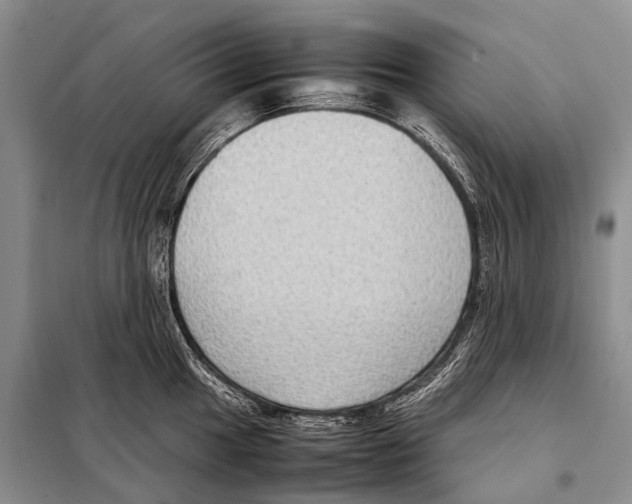 X0000097881049200804110945