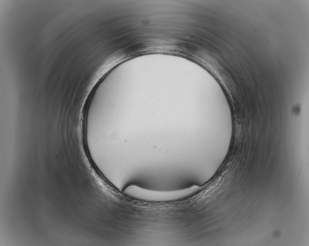 X0000097881050200804110945