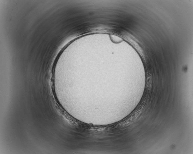 X0000097881051200804110945