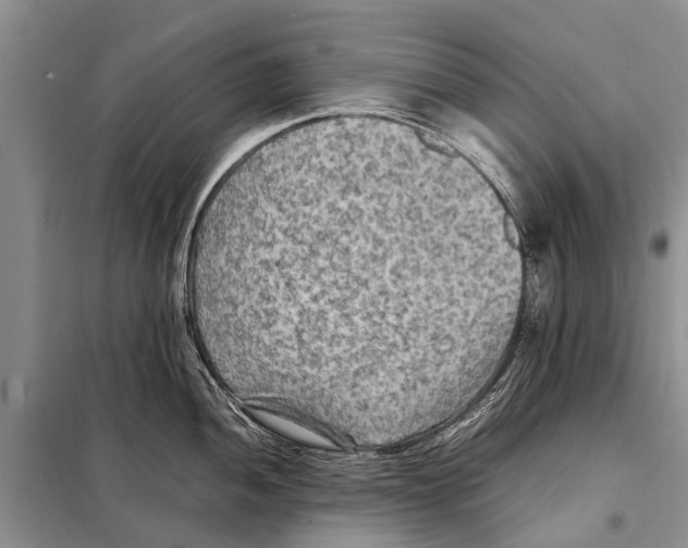 X0000097881052200804110945