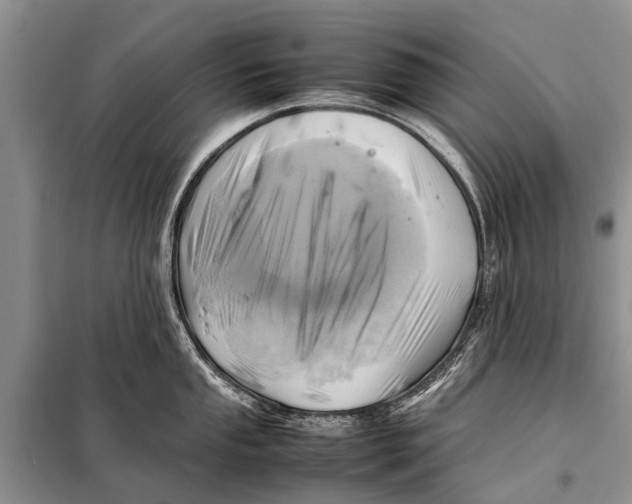 X0000097881053200804110945