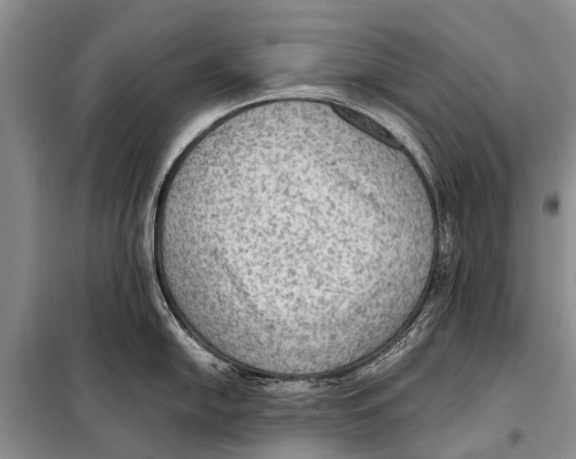 X0000097881054200804110945