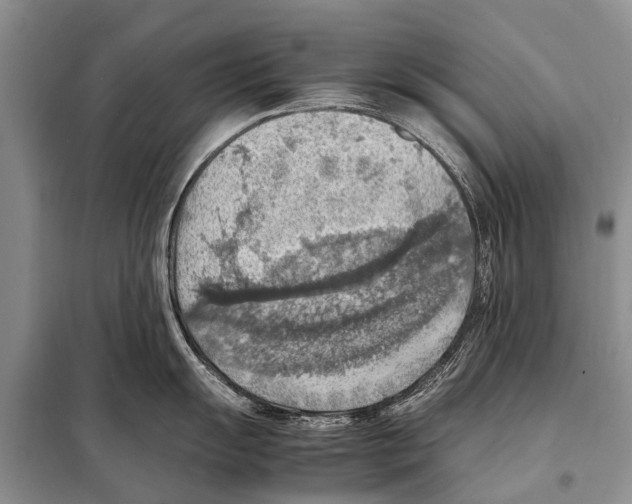 X0000097881055200804110945