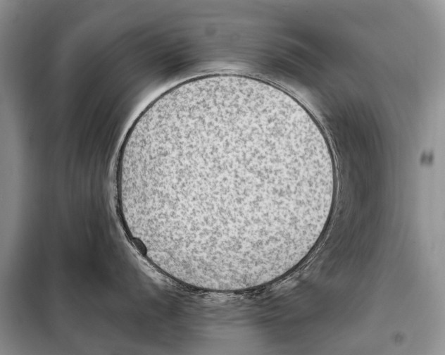 X0000097881056200804110945