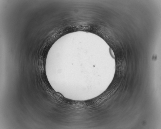 X0000097881058200804110944