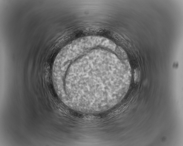 X0000097881059200804110944