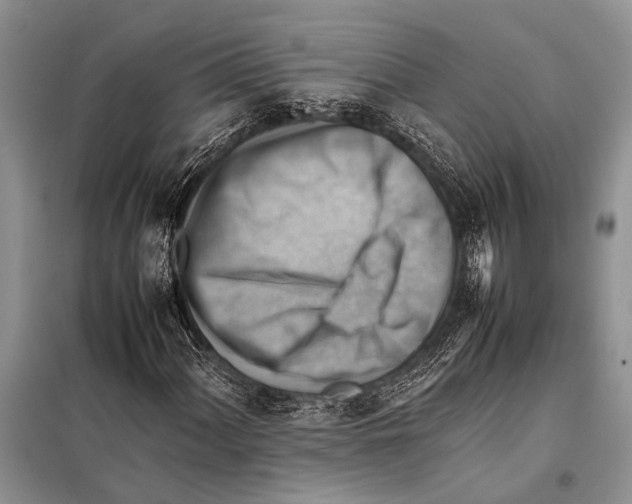 X0000097881060200804110944