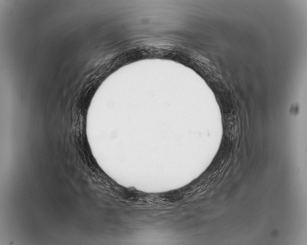 X0000097881061200804110944