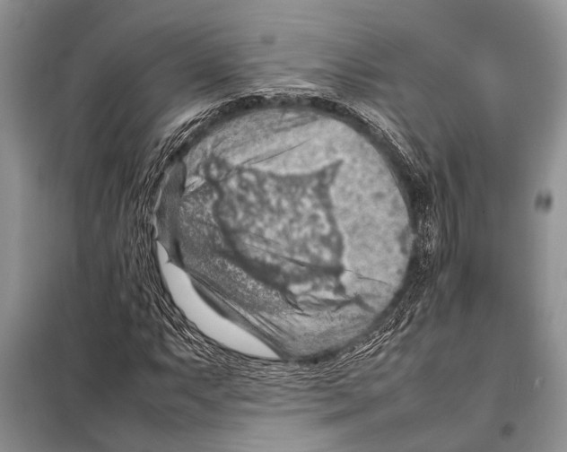 X0000097881063200804110944