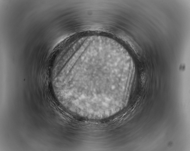 X0000097881064200804110944