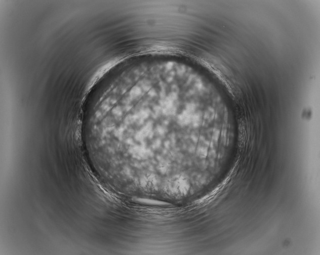 X0000097881066200804110944