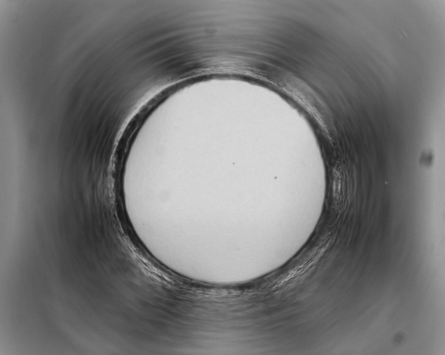 X0000097881068200804110944