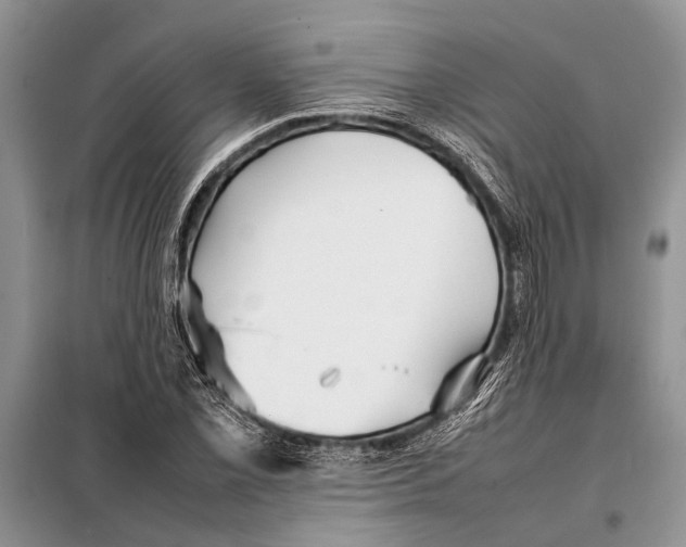 X0000097881069200804110944