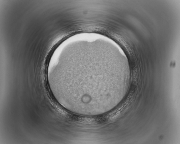 X0000097881071200804110944