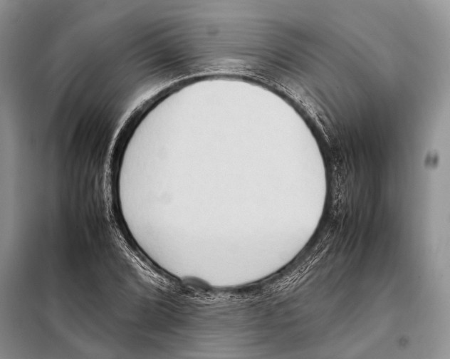 X0000097881072200804110944