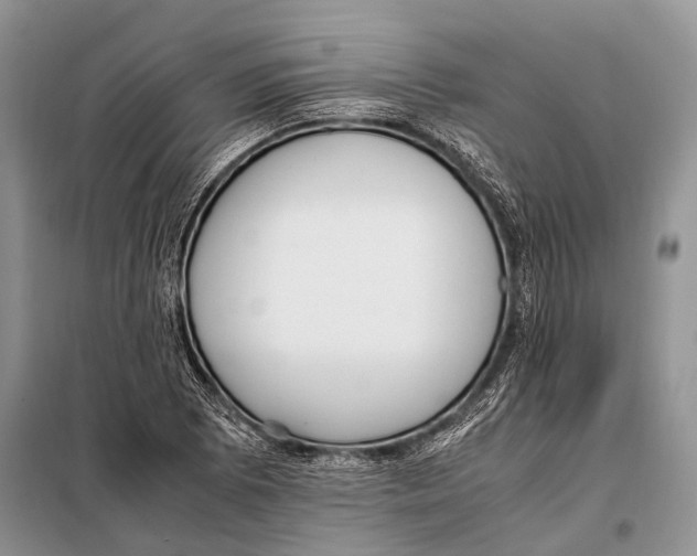 X0000097881073200804110944