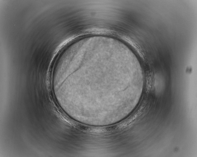 X0000097881074200804110944