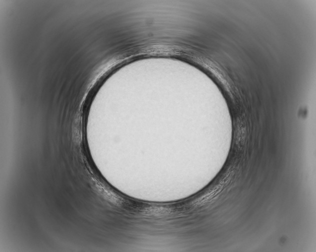 X0000097881075200804110944