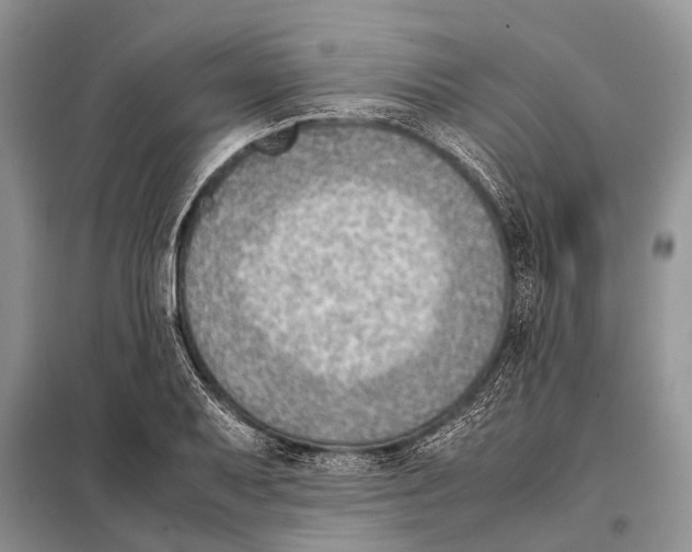 X0000097881079200804110944