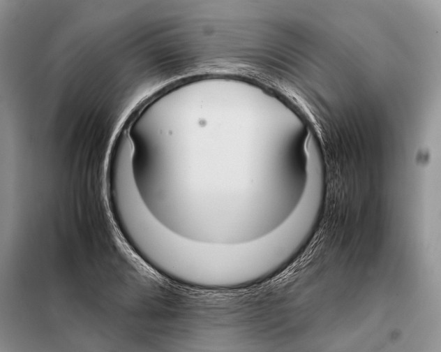 X0000097881080200804110944