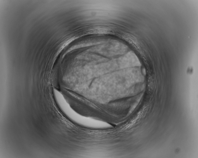 X0000097881081200804110944