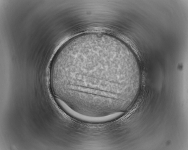 X0000097881083200804110944