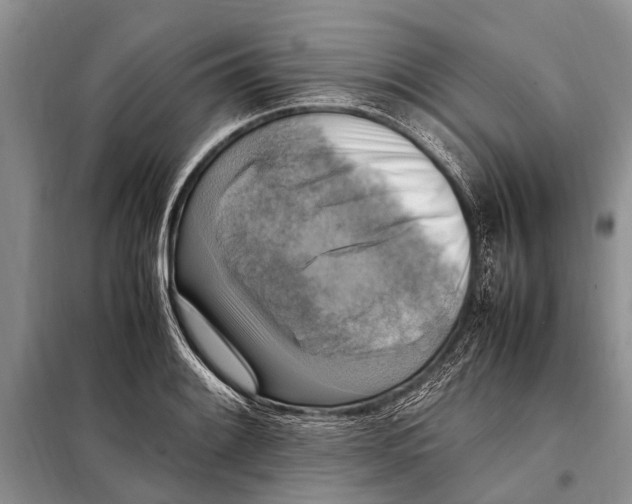 X0000097881084200804110944