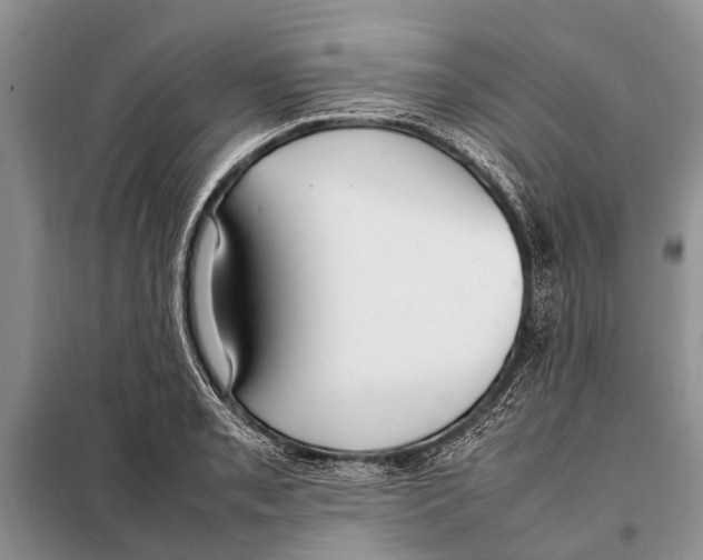 X0000097881085200804110944