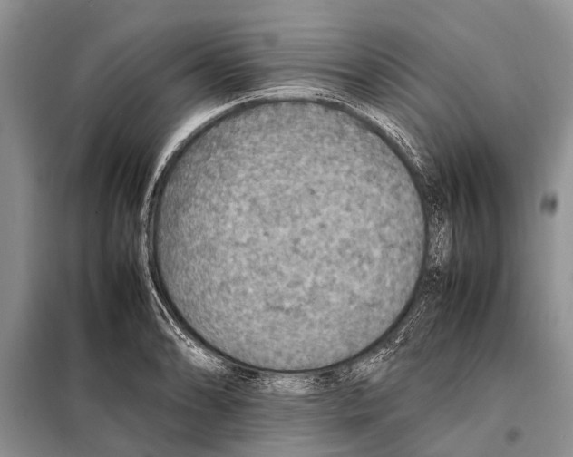 X0000097881086200804110944