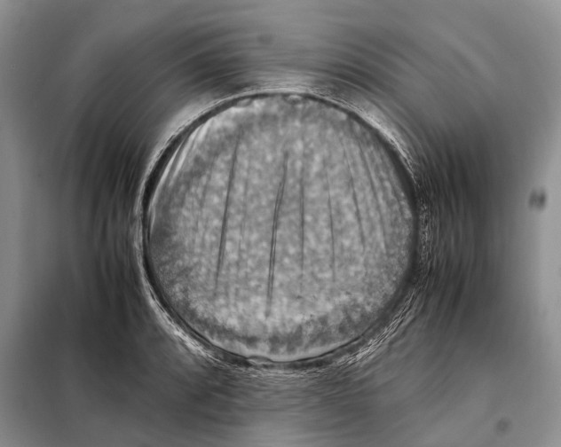 X0000097881088200804110944