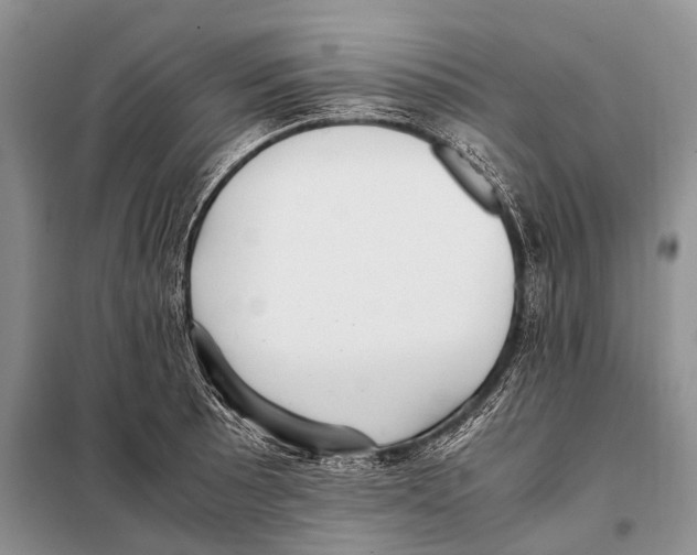 X0000097881089200804110944