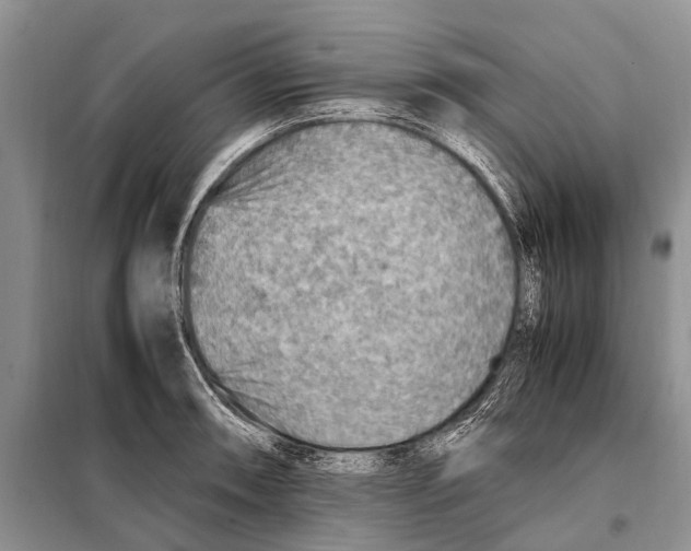 X0000097881090200804110944