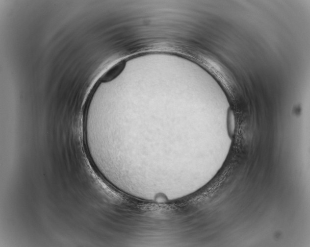 X0000097881092200804110944