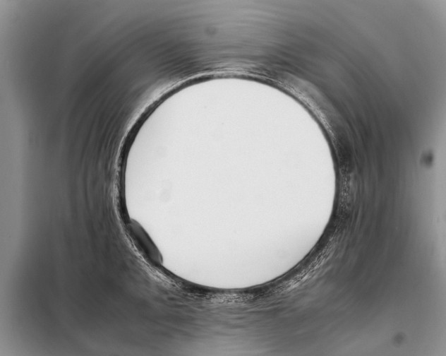 X0000097881093200804110944