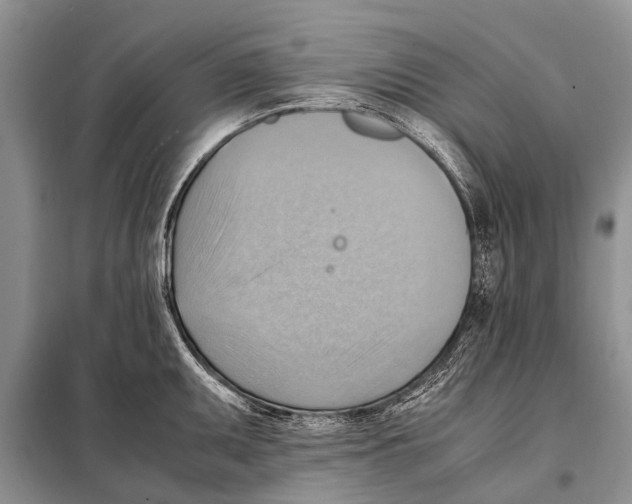 X0000097881095200804110944